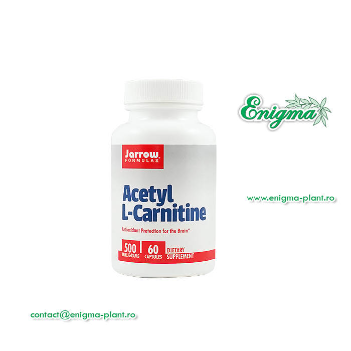 Acetil L-Carnitine