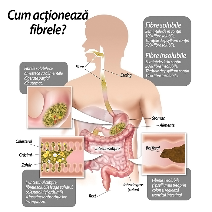 Colon Help