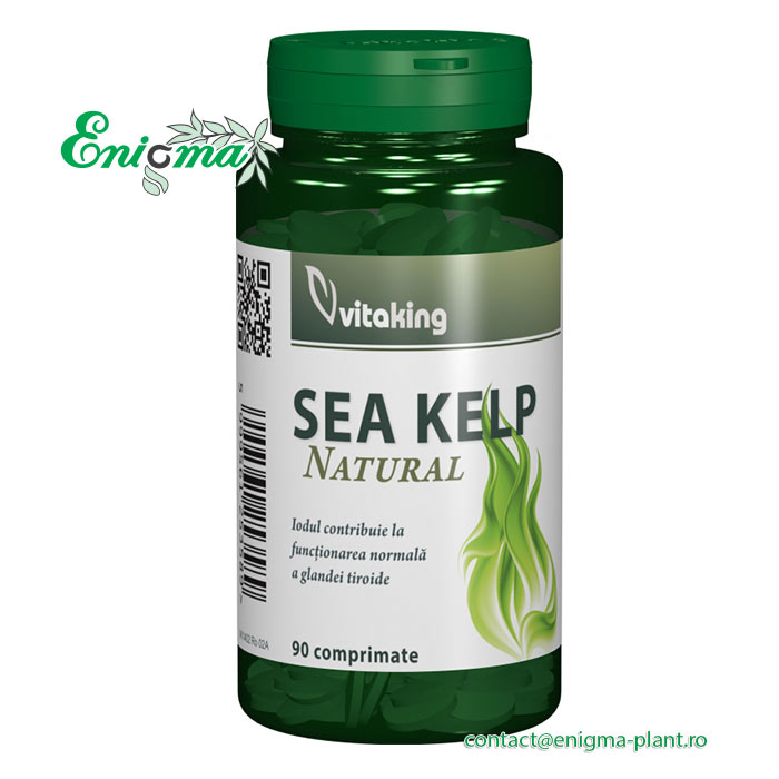 Sea Kelp