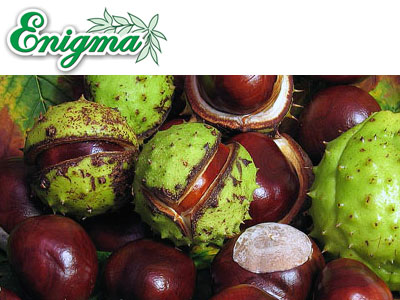 Floriten – Fiole cu Extract de Castana de India