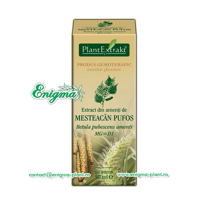 Extract din amenti de mesteacan pufos – 50 ml