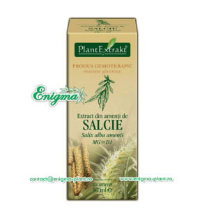 extract-din-amenti-de-salcie