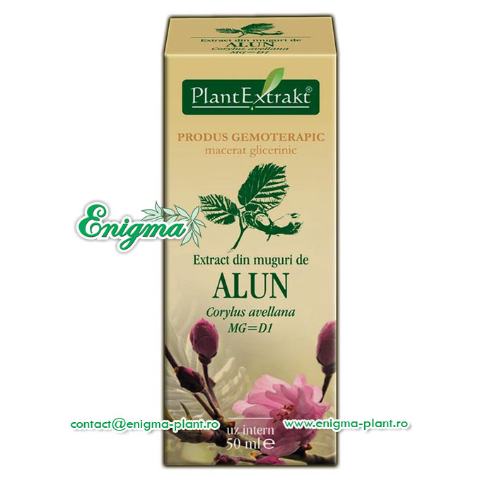 Extract din muguri de alun – 50ml