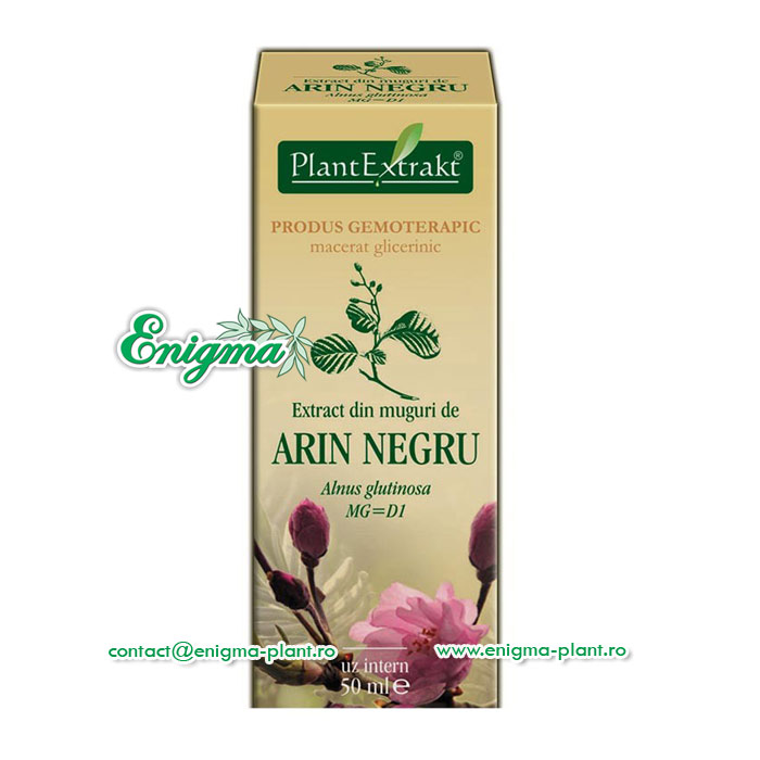 Extract muguri arin negru – 50ml