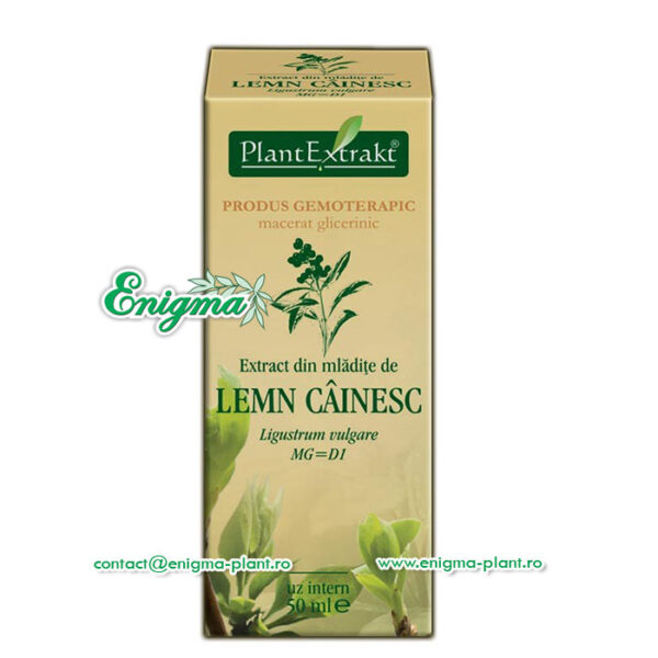 Extract din mladite de lemn cainesc – 50ml