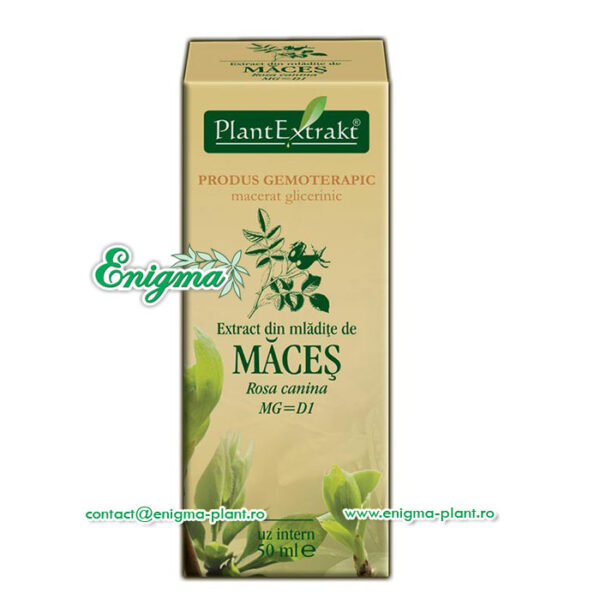 Extract din mladite de maces – 50ml