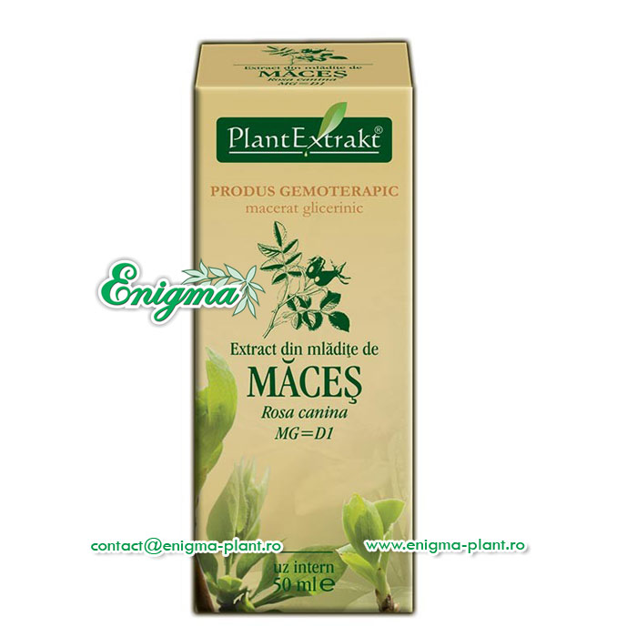 Extract din mladite de maces – 50ml