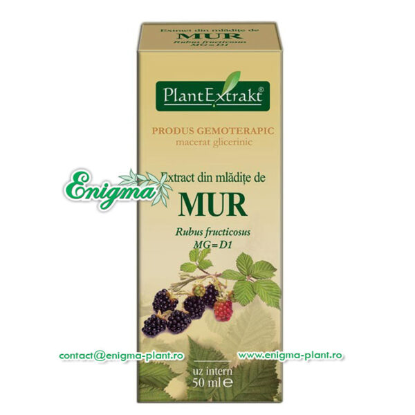 Extract din mladite de mur – 50ml