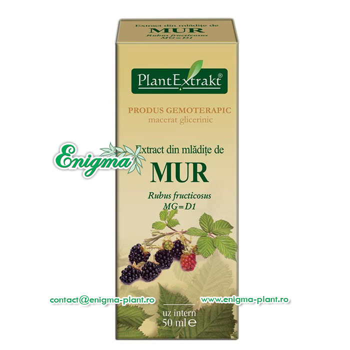 Extract din mladite de mur – 50ml