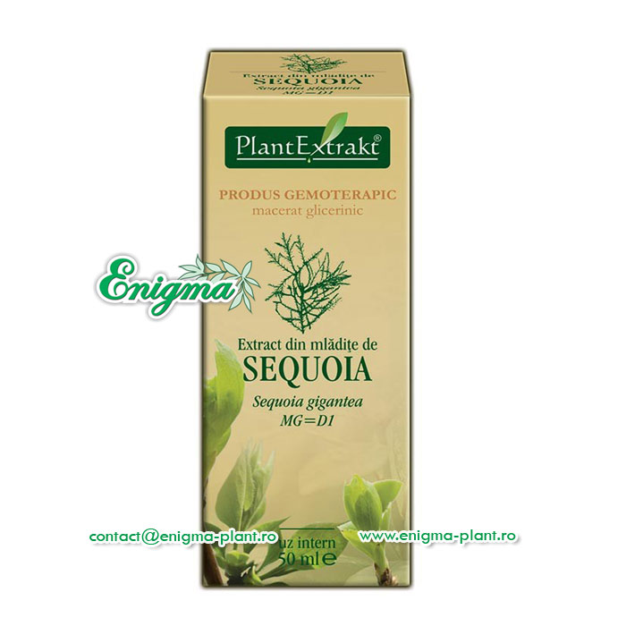 Extract  din mladite de sequoia – 50ml