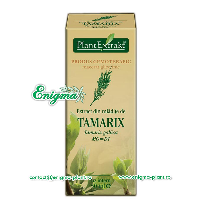 Extract din mladite de Tamarix – 50ml