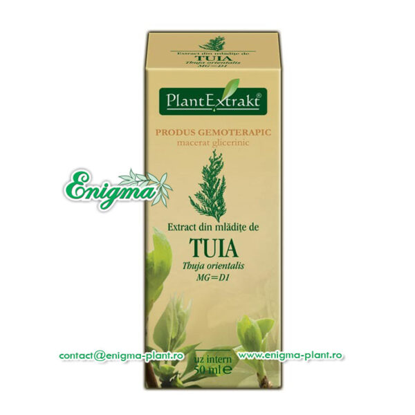 Extract din mladite de tuia – 50ml