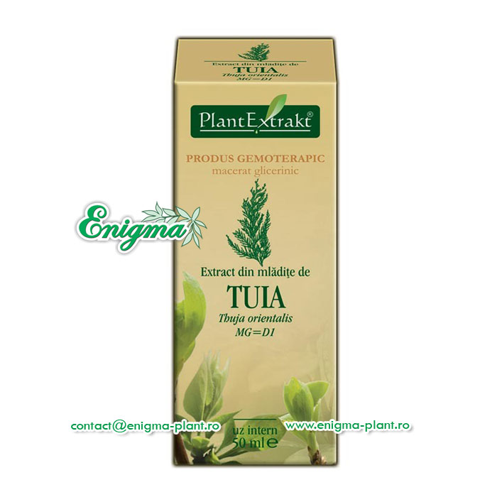 Extract din mladite de tuia – 50ml