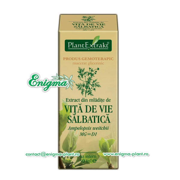 Extract din mladite de vita de vie salbatica – 50ml