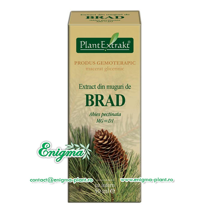 Extract muguri brad – 50ml