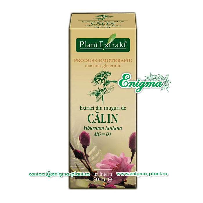 Extract din muguri de calin – 50ml