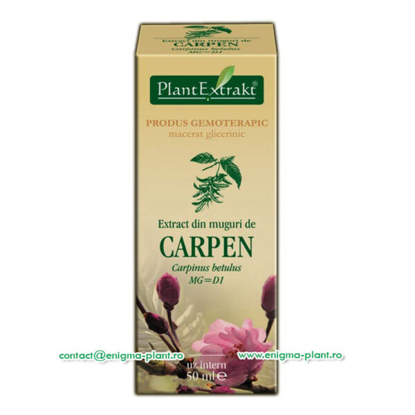 Extract din muguri de carpen – 50ml