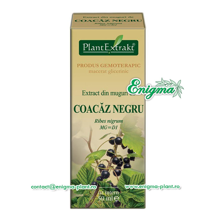 Extract din muguri de coacaz negru – 50ml