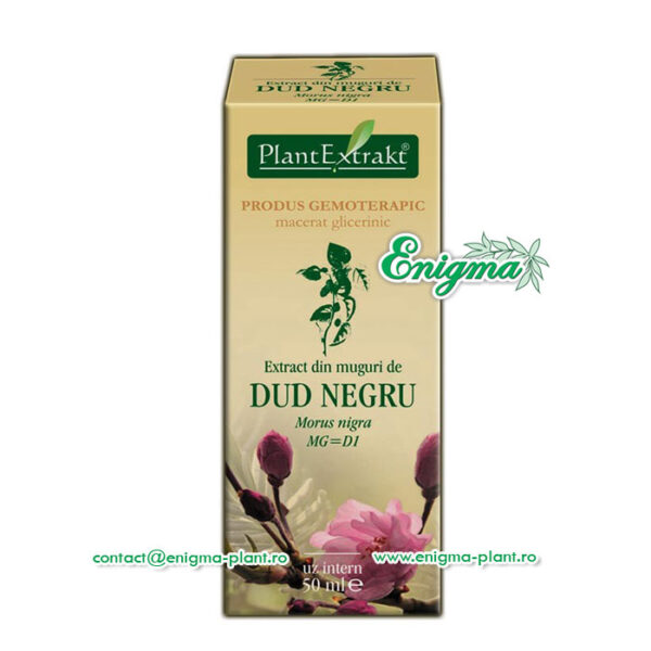 Extract din uguri de dud negru – 50ml