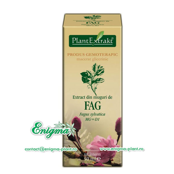 Extract din muguri de fag – 50ml