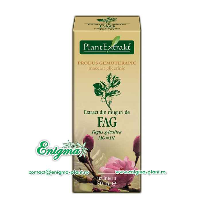 Extract din muguri de fag – 50ml