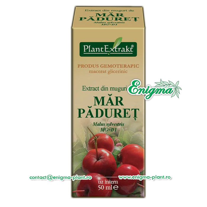 Extract din muguri de mar paduret – 50ml