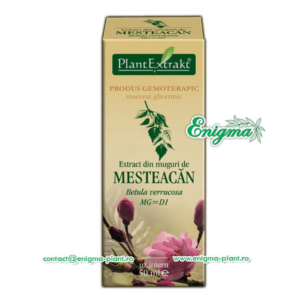 Extract din muguri de mesteacan – 50ml