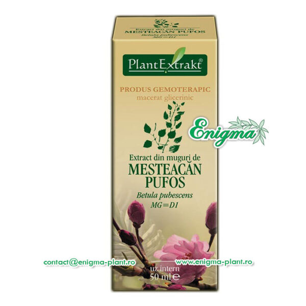 Extract din muguri de mesteacan pufos – 50ml