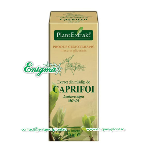 Extract din mladite caprifoi – 50ml