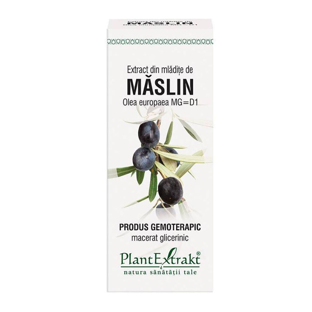 Extract din mladite de maslin – 50ml