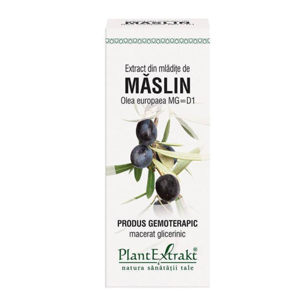 Extract din mladite de maslin – 50ml
