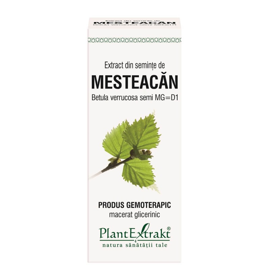 Extract din seminte de mesteacan – 50ml