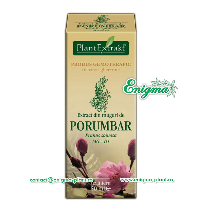 Extrat din muguri de porumbar – 50ml