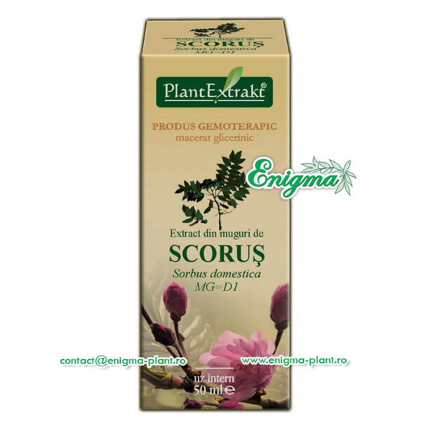 Extract din muguri de scorus – 50ml