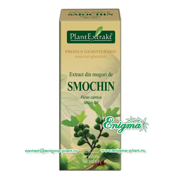 Extract din muguri de smochin – 50ml