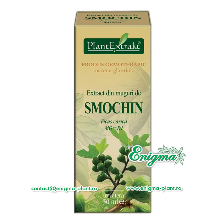 Extract din muguri de smochin – 50ml