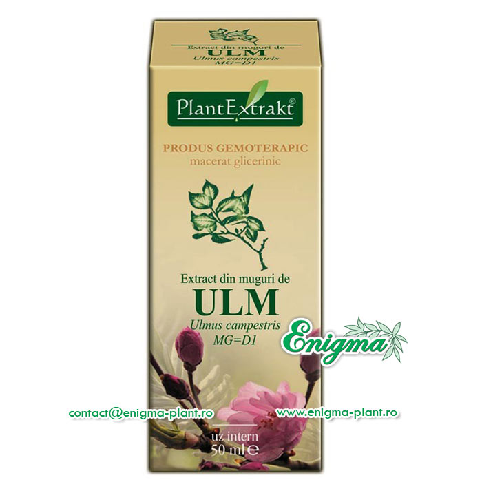 Extract din muguri de ulm – 50ml