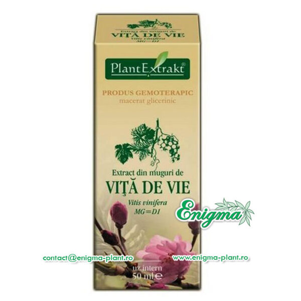 Extract din muguri de vita de vie – 50ml