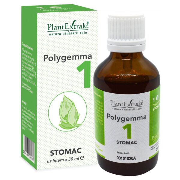 Polygemma 1 – Stomac