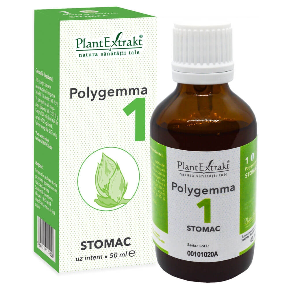 Polygemma 1 – Stomac