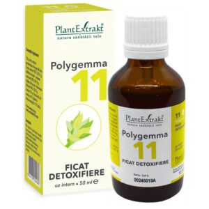 polygemma-11