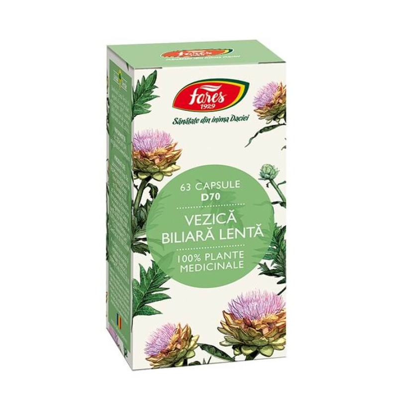 Vezică biliară lentă  D70