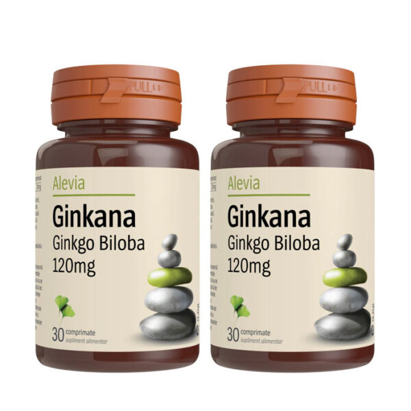 Ginkana Ginkgo Biloba 120mg