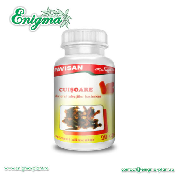 Cuișoare (90 capsule), Favisan