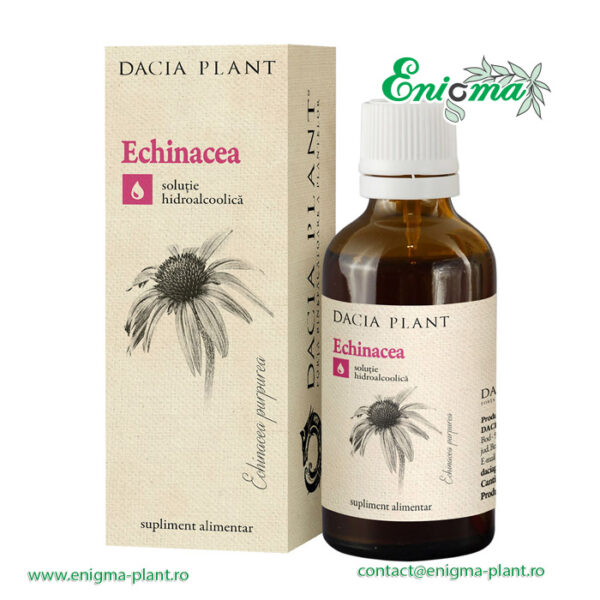 Echinacea tinctura – 50 ml