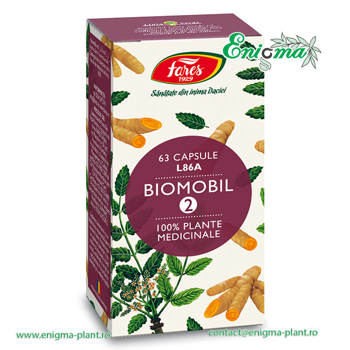 Biomobil 2, L86A, capsule