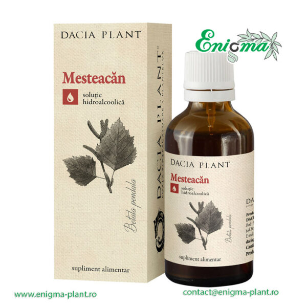 Mesteacan tinctura – 50ml