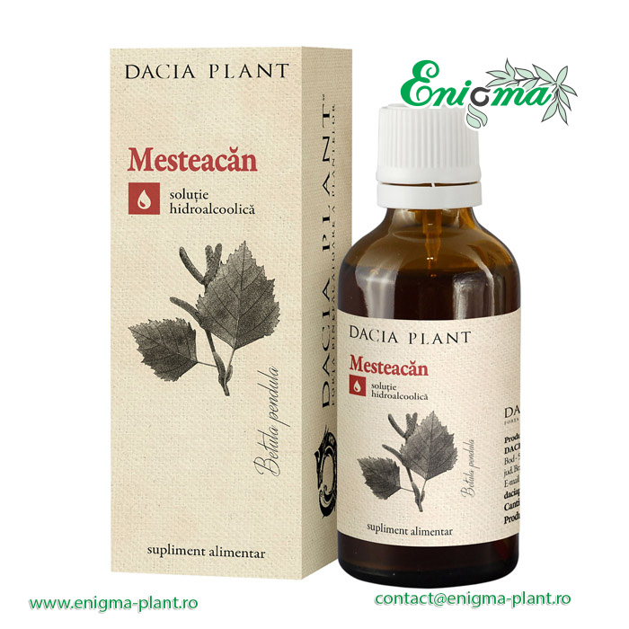 Mesteacan tinctura – 50ml
