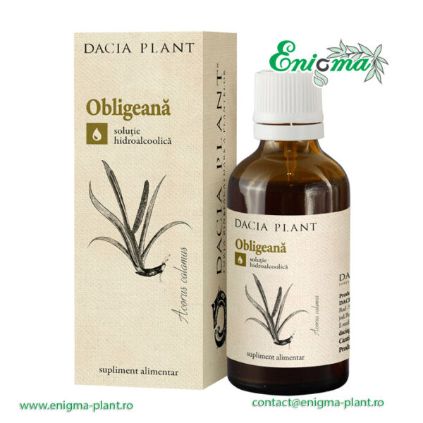 Obligeana tinctura – 50ml