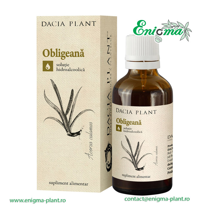 Obligeana tinctura – 50ml